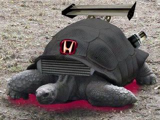 hondaturtletu1.jpg