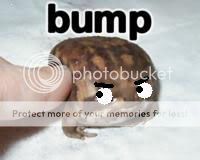 bump.jpg