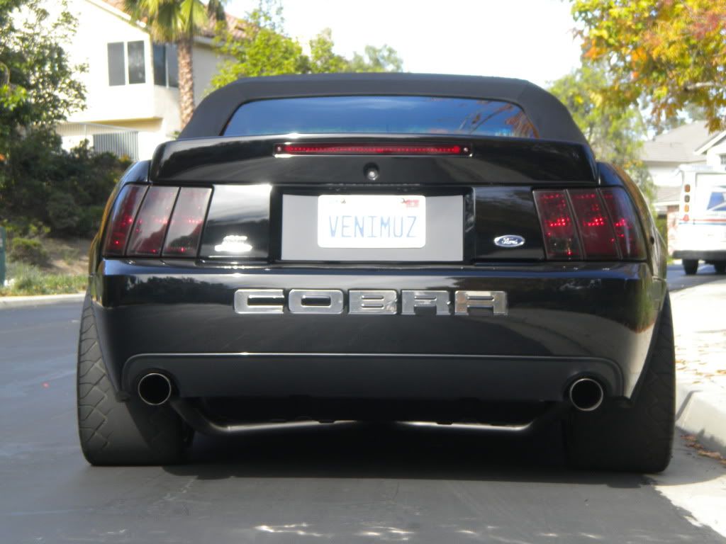 DSCN1018.jpg