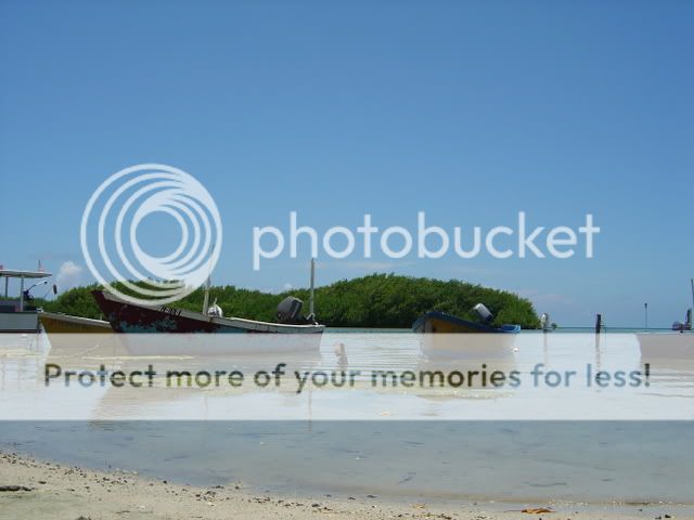 DSC01776.jpg