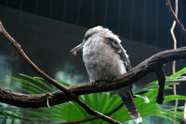 zoo3.jpg
