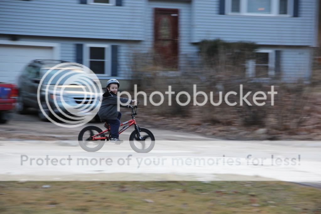 IMG_4451.jpg