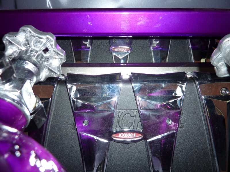P1000010.jpg