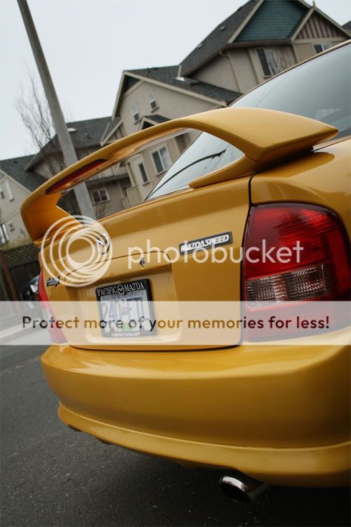 IMG_4237copy.jpg