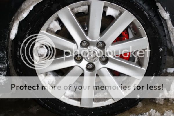 snowcalipers0002.jpg