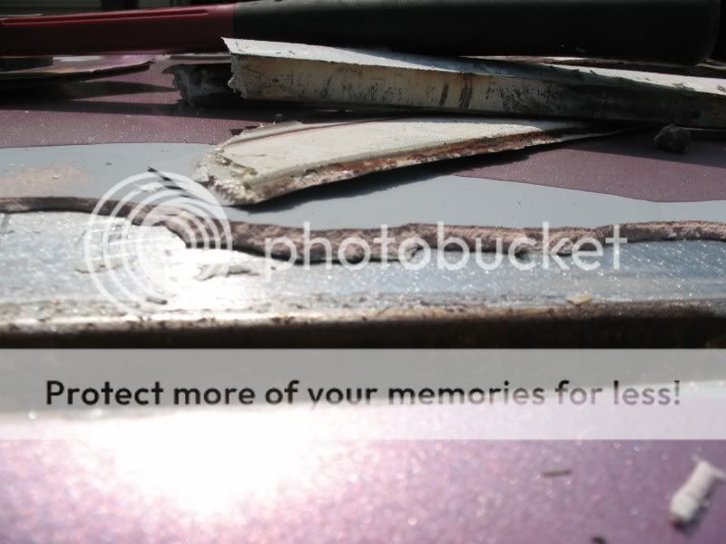 IMG_4341800x600.jpg