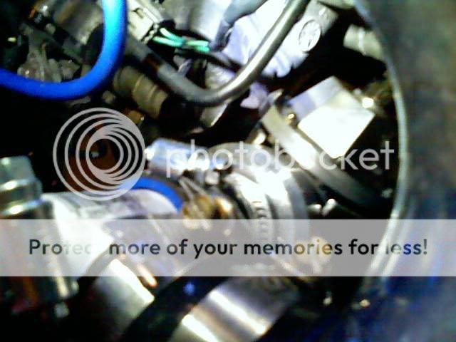 013008_13362.jpg