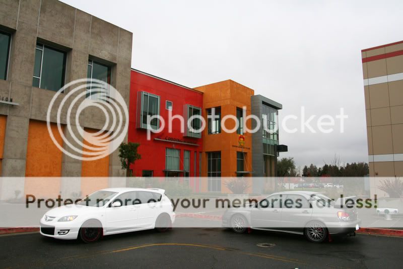 IMG_8604ps.jpg