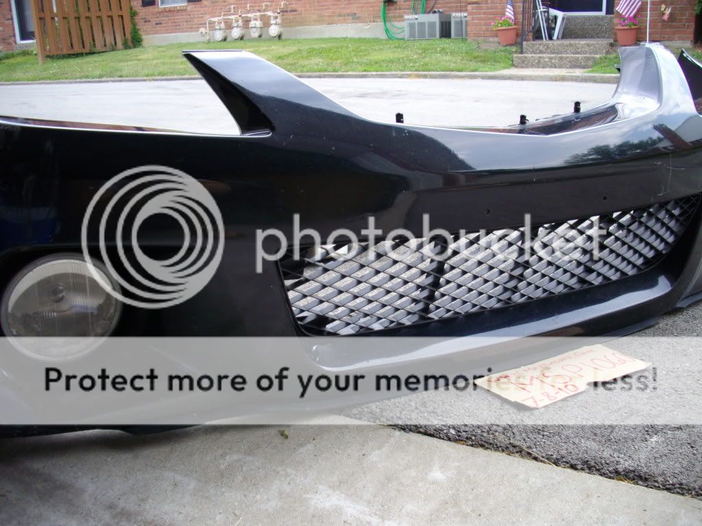 IMGP7102.jpg