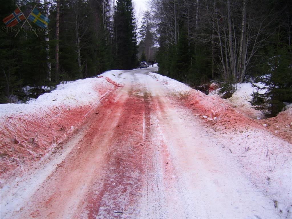 rallycar_vs_moose_1.jpg