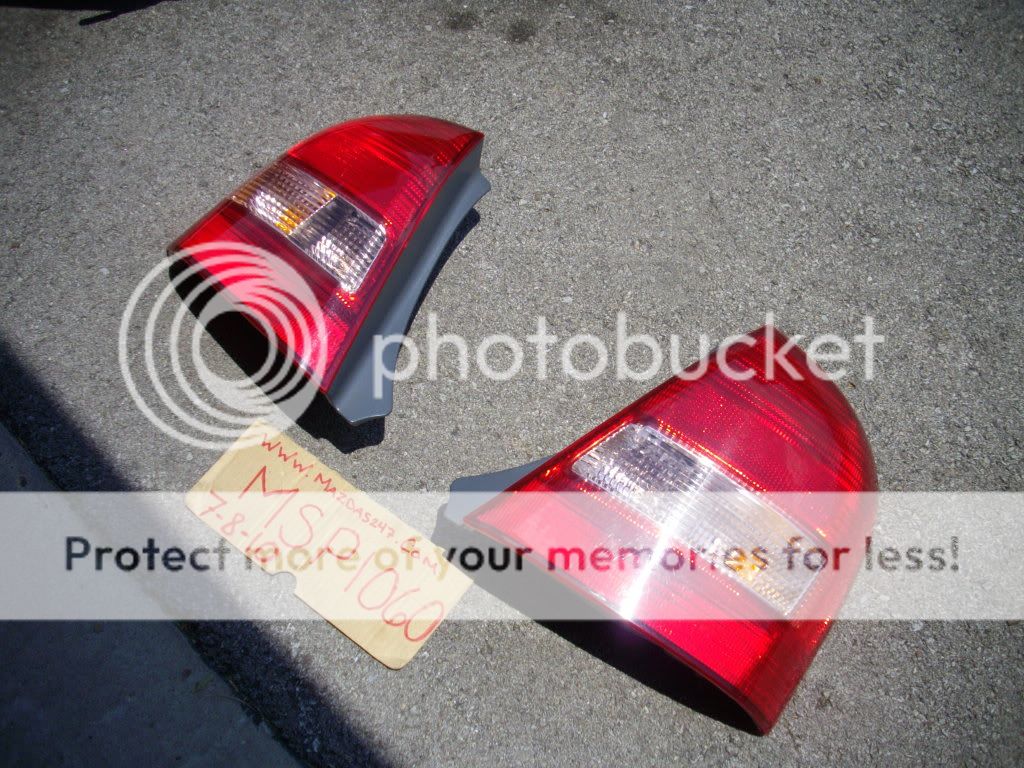 IMGP7129.jpg