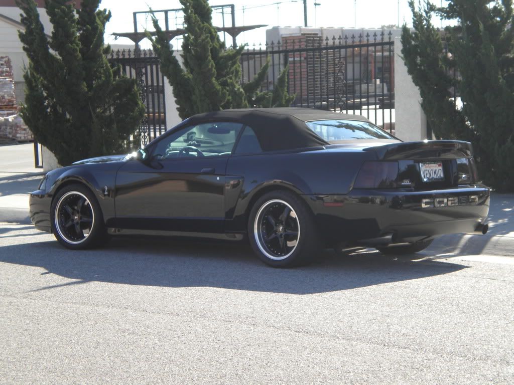 DSCN0809.jpg