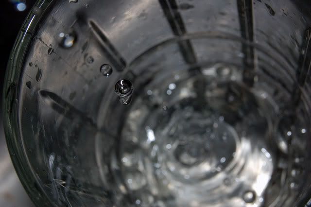 DSC_0055.jpg