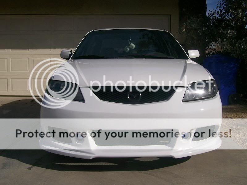 Painted011.jpg