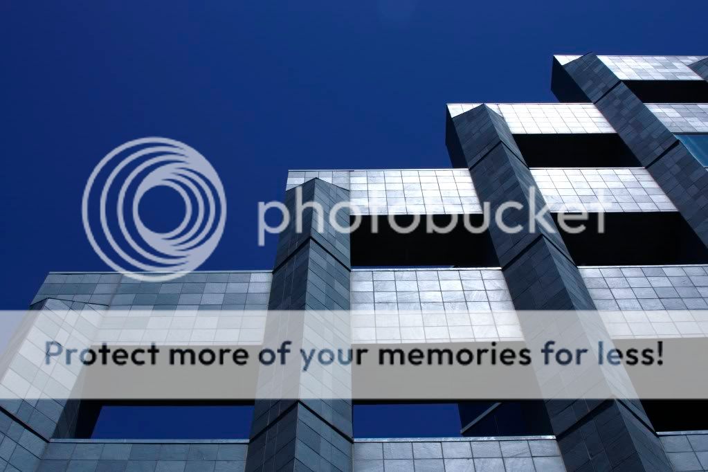 _MG_2323.jpg