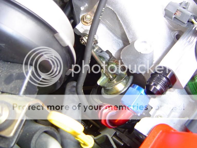 Picture015.jpg