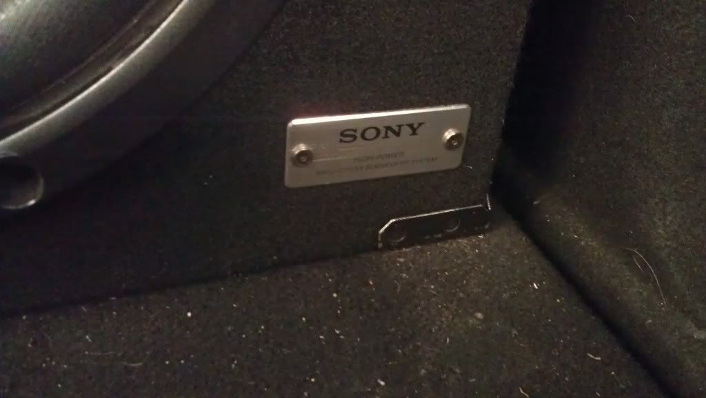 IMAG0044.jpg