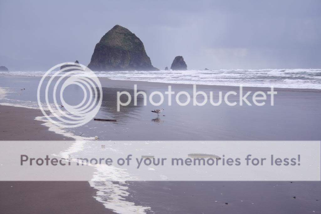 chimneyrockcannonbeach.jpg