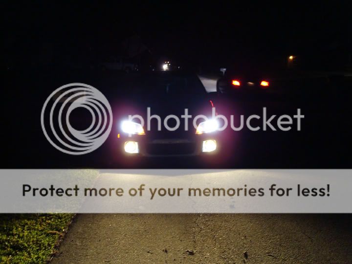 nightlights2.jpg