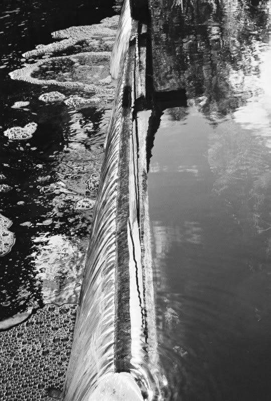 Grayscale9-22-2006-18.jpg