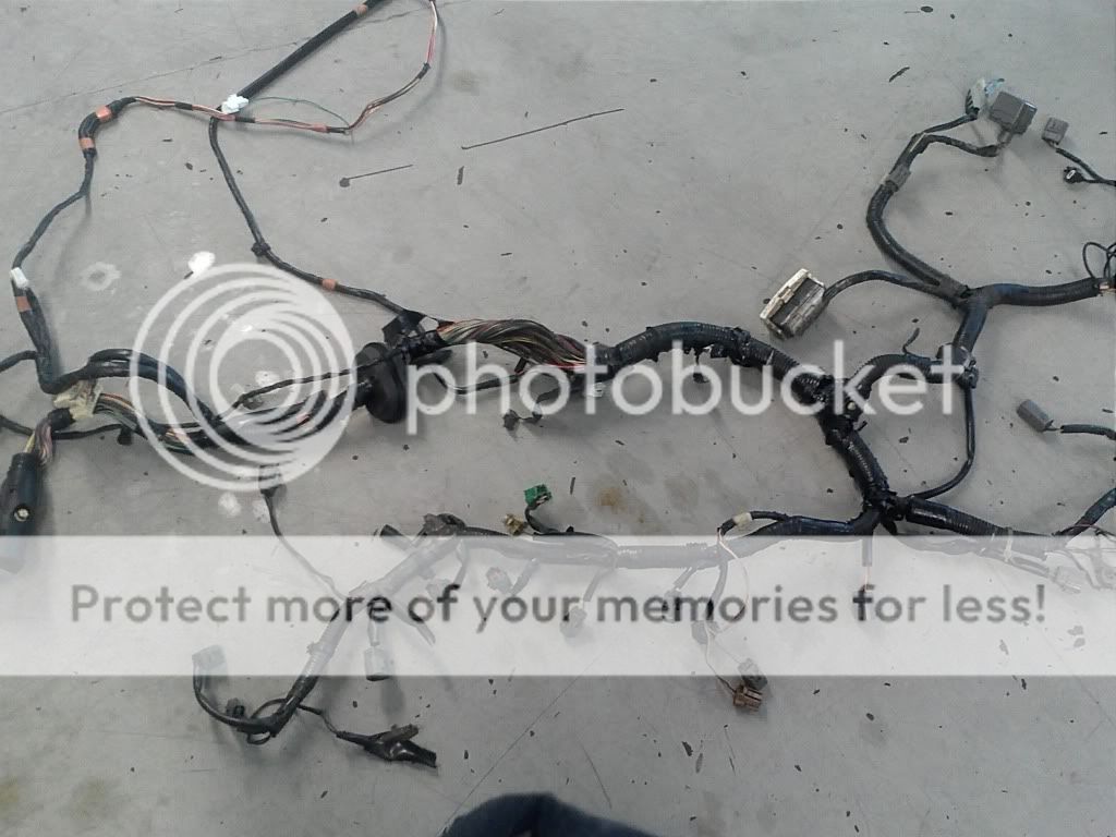 5a537969.jpg