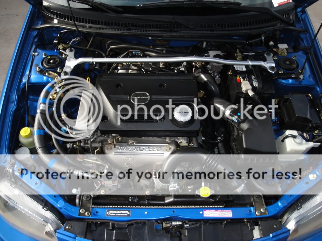 4-18-2010bayshot2.jpg