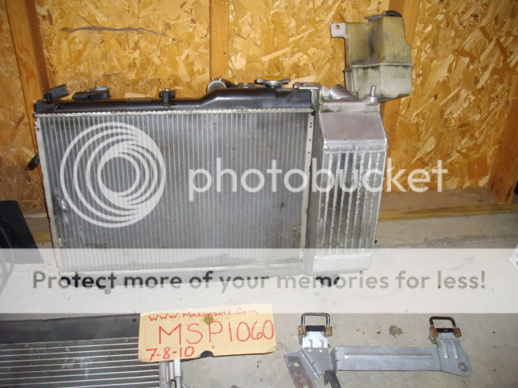 IMGP7118.jpg