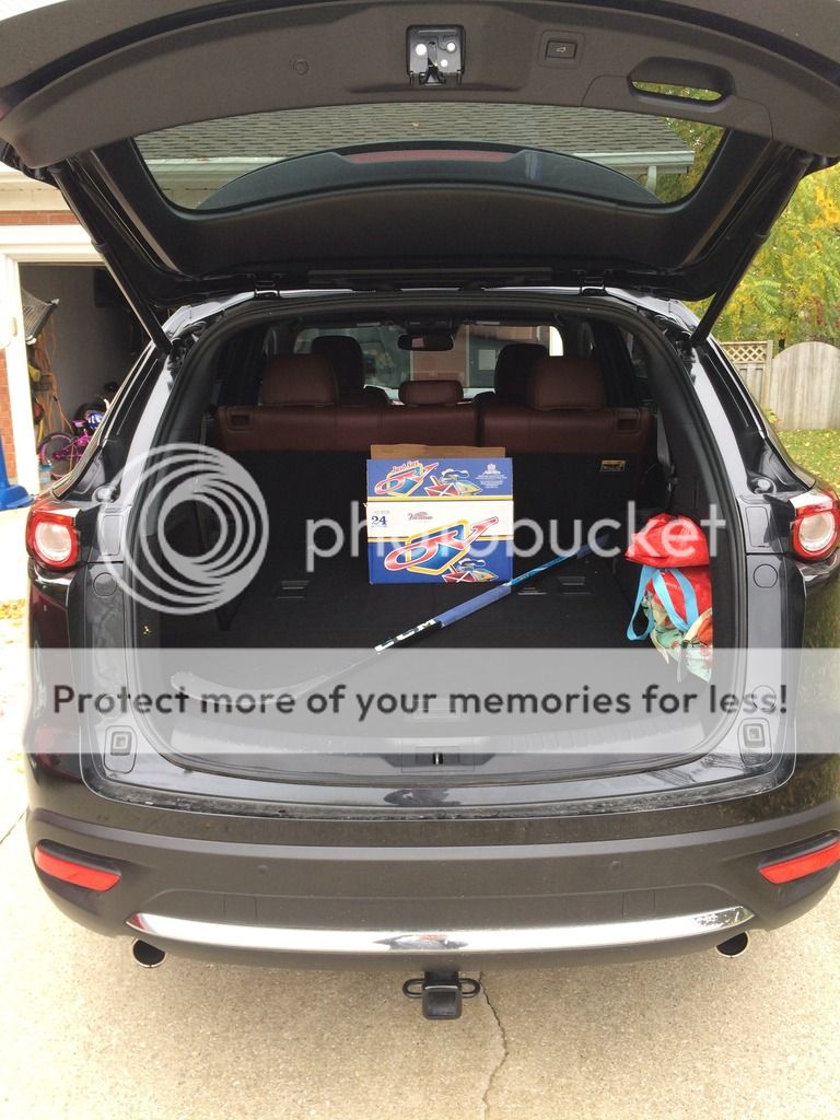IMG_1950_zps6dyh9jlr.jpg