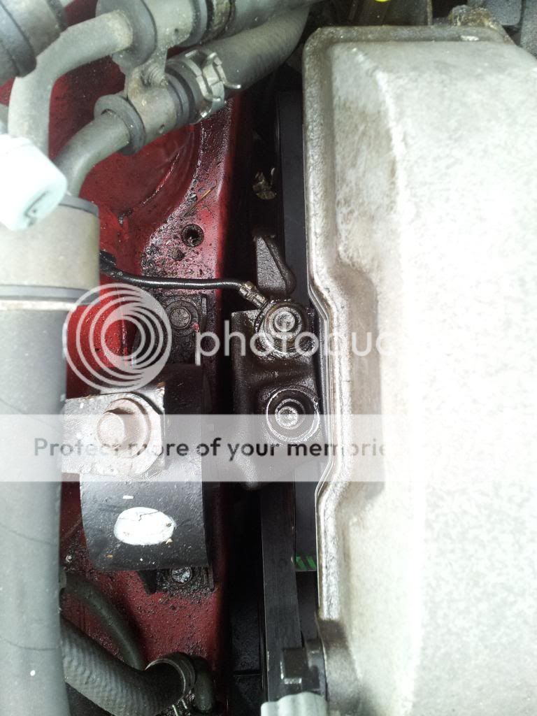 20140320_111426_zps8c4ffecc.jpg