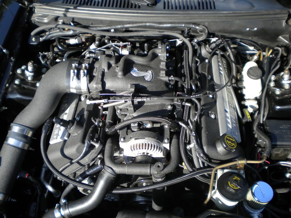 DSCN0611.jpg