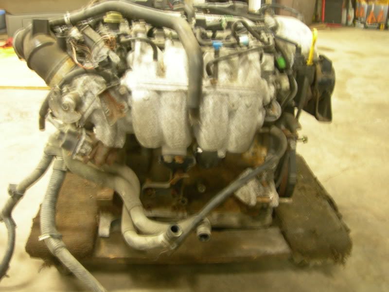 proengine012.jpg