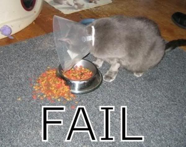Fail.jpg