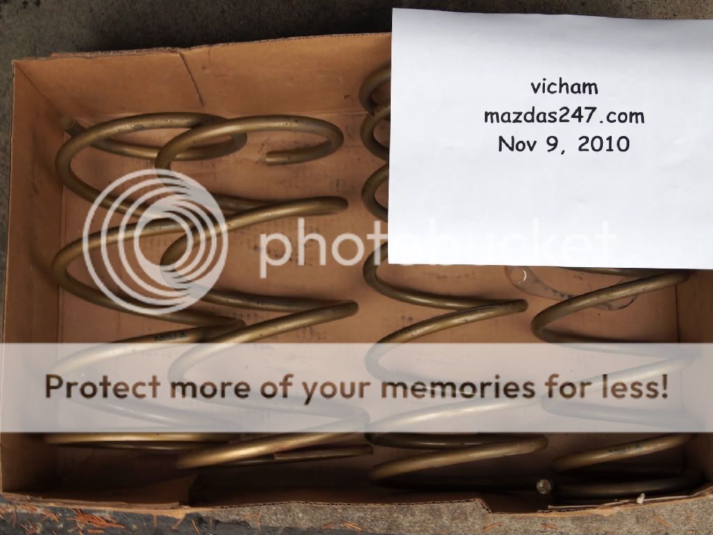 PB091849.jpg