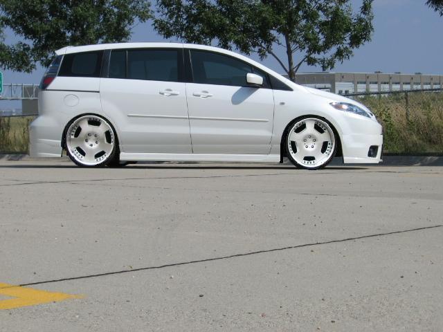 tint11.jpg