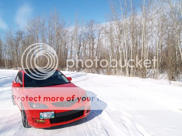 Blackroof1.jpg