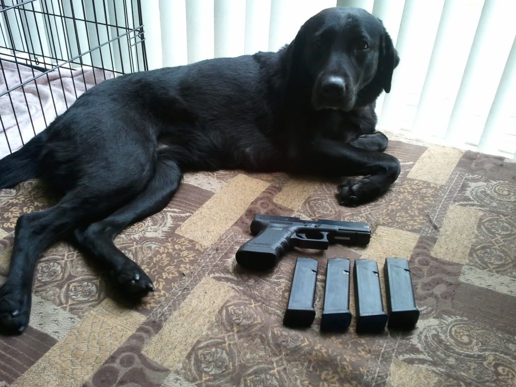 2011-03-09131733.jpg