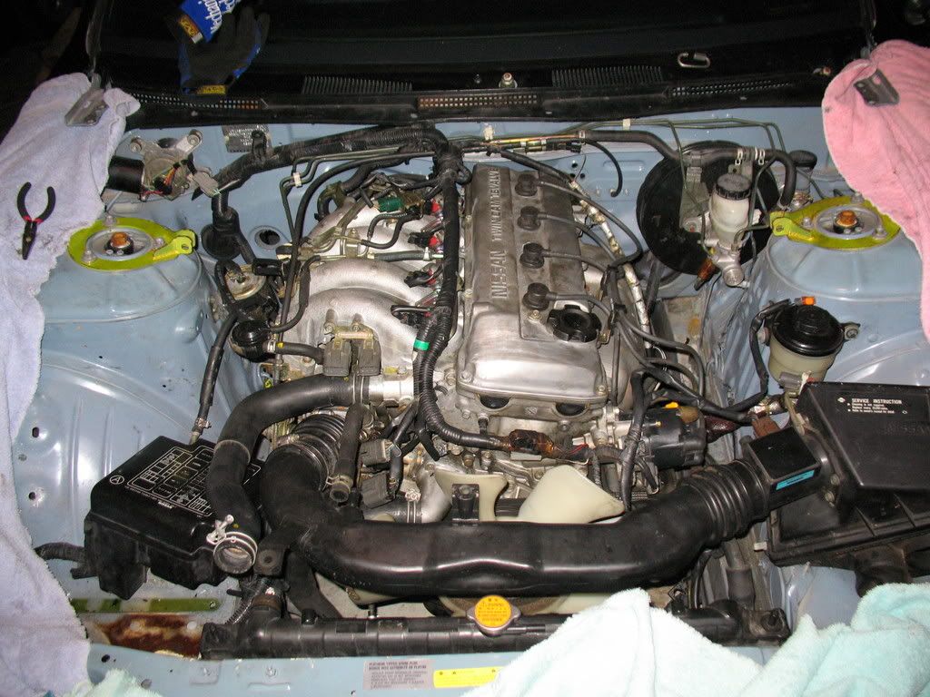 IMG_1175.jpg