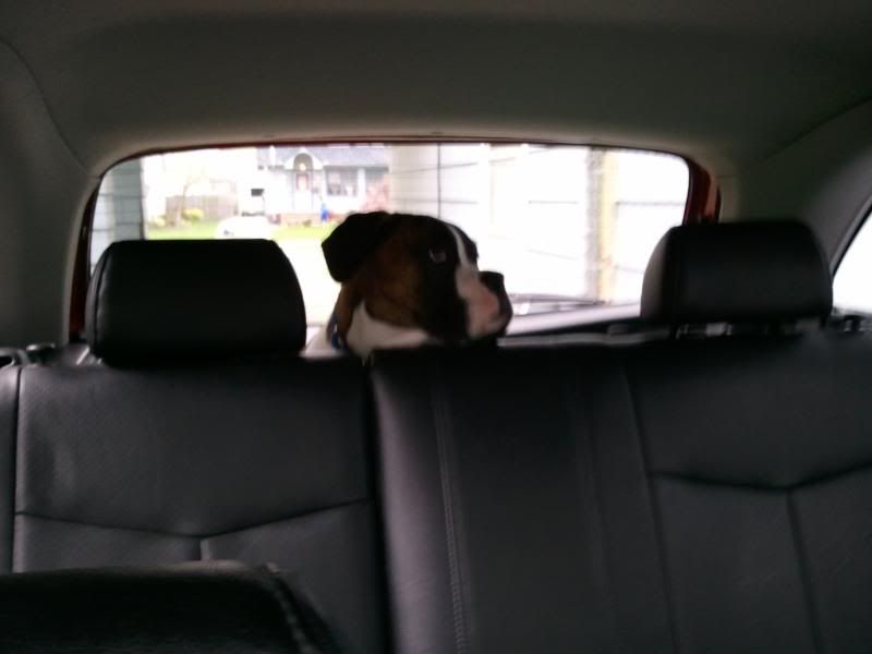 2011-05-01165600.jpg