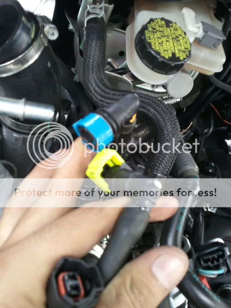 2011-03-26172412.jpg