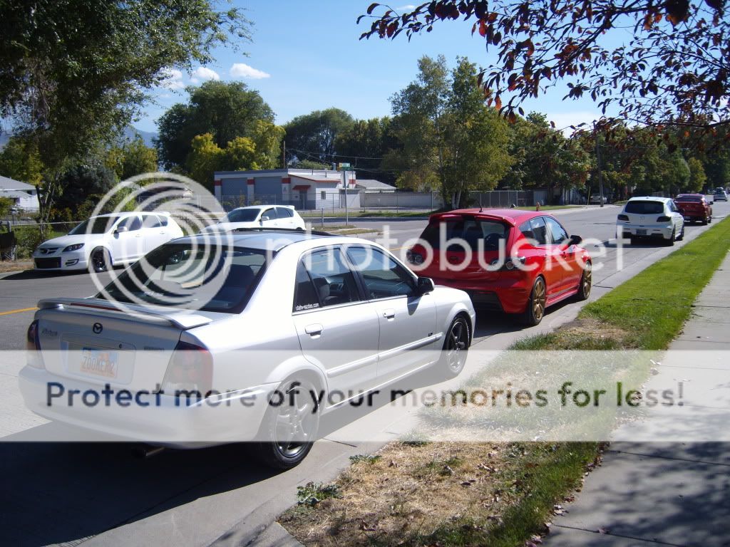 S1030203.jpg