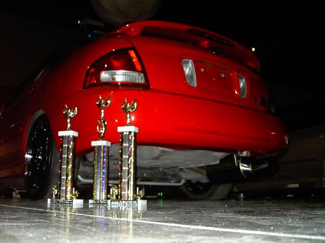 PICT1335.jpg