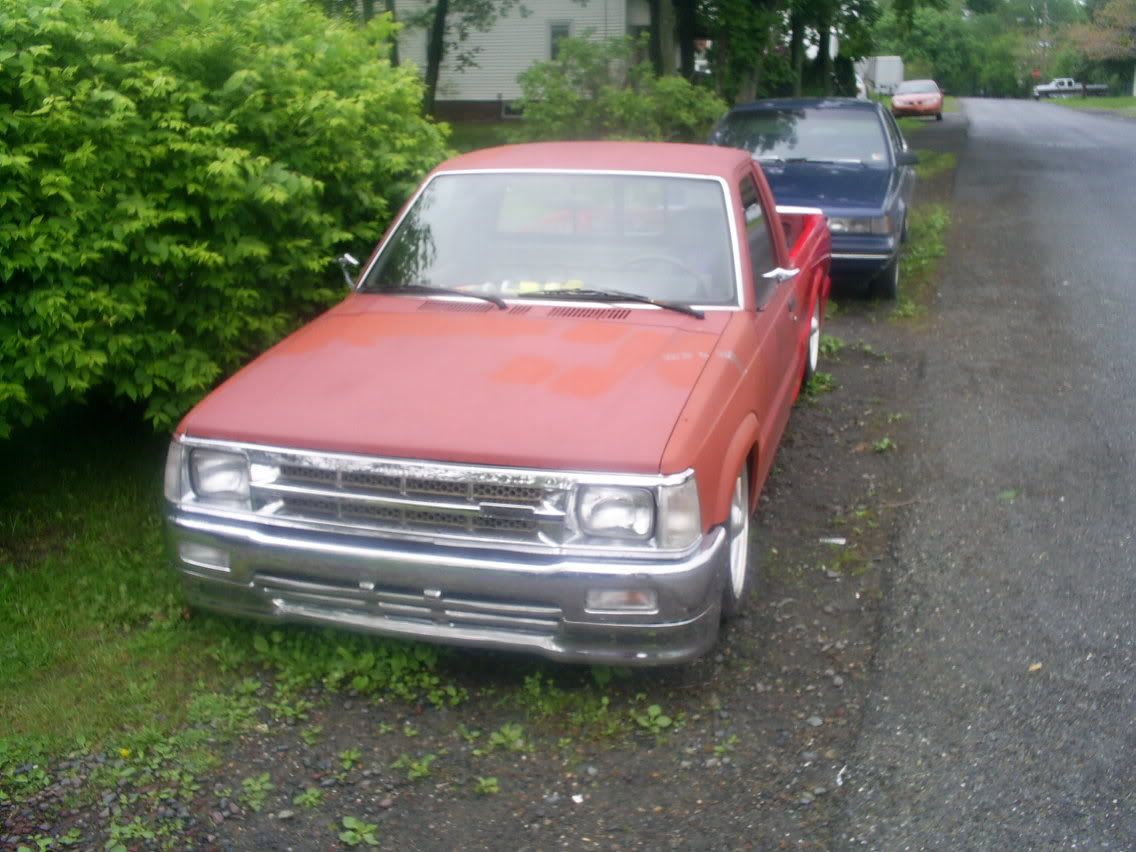 S4020577.jpg