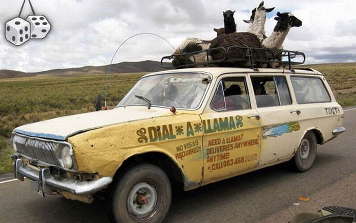 funny_and_weird_vehicles_50.jpg