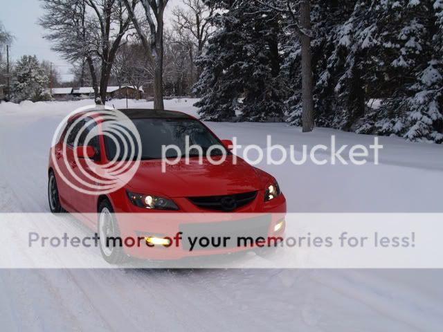 Blackroof2.jpg