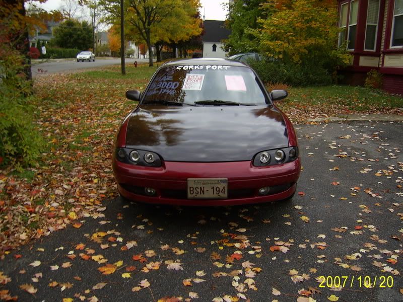 PIC_0003-4.jpg