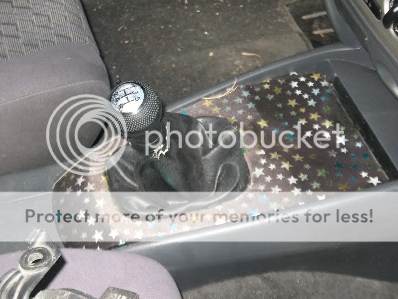 IMG_0250800x600.jpg