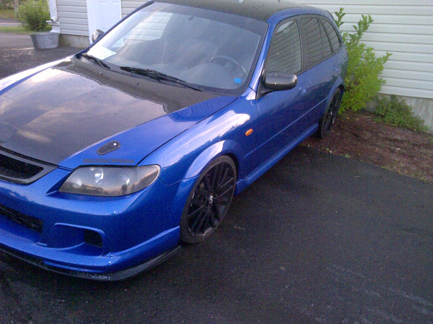 IMG-20120903-00075.jpg