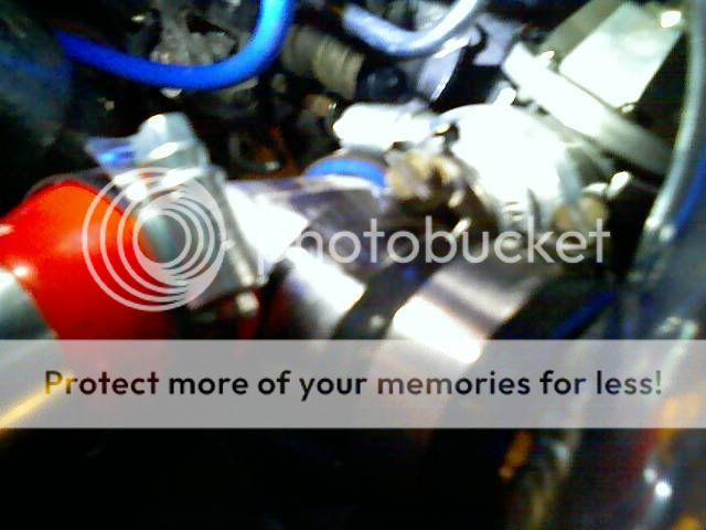 013008_13371.jpg