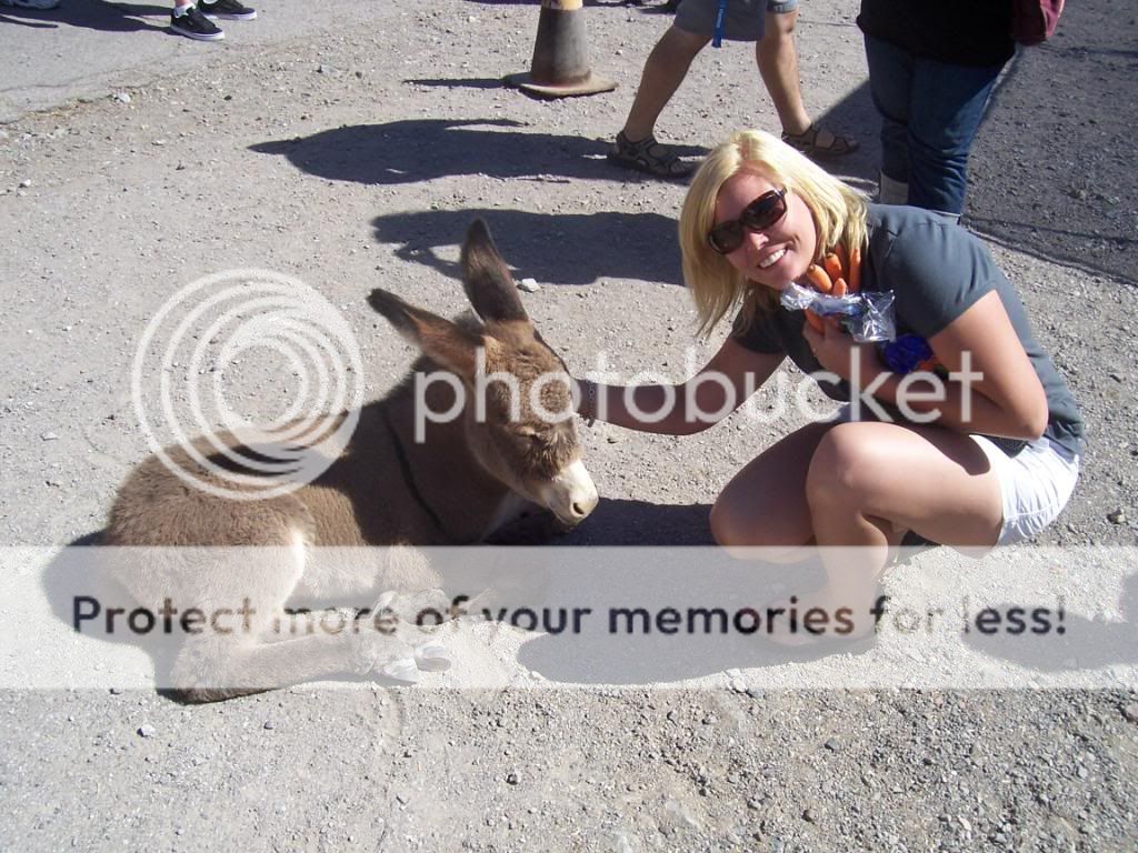 100_2668.jpg