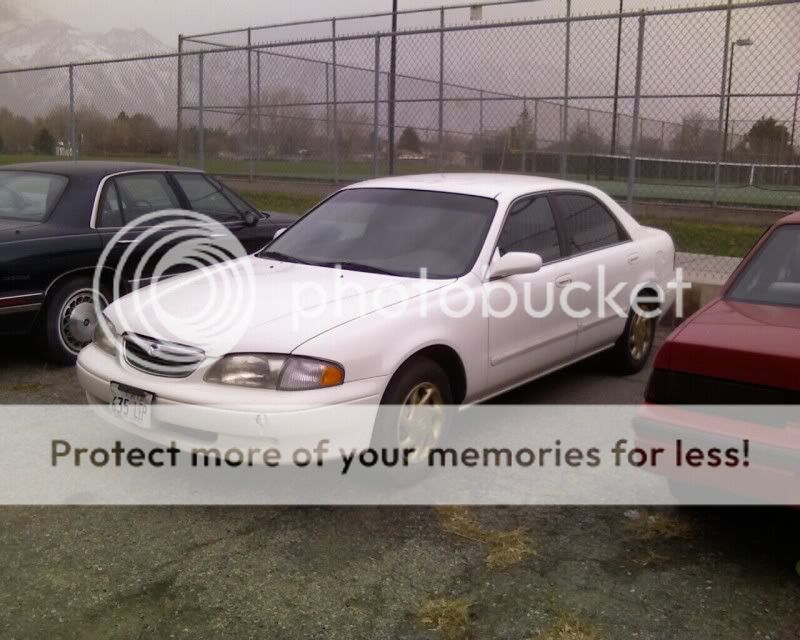 1269968171.jpg